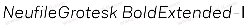 NeufileGrotesk BoldExtended字体转换